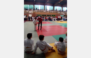 580343537cd3f_IMG20161015174447.jpg