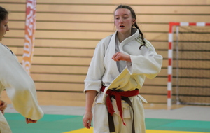 5a929d20aa0cd_IMG3269.JPG