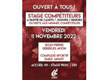 Stage compétiteurs cadets/juniors/seniors